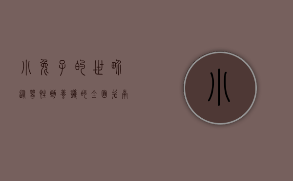 小兔子的世界，从习性到养护的全面指南