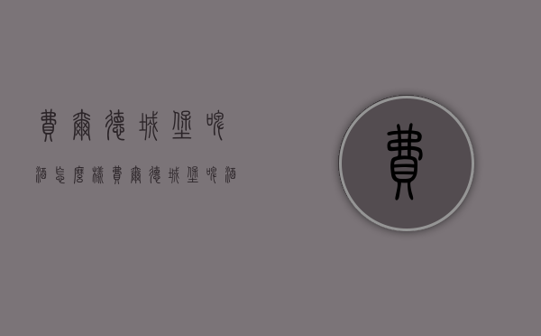 费尔德城堡啤酒怎么样（费尔德城堡啤酒怎么样知乎）