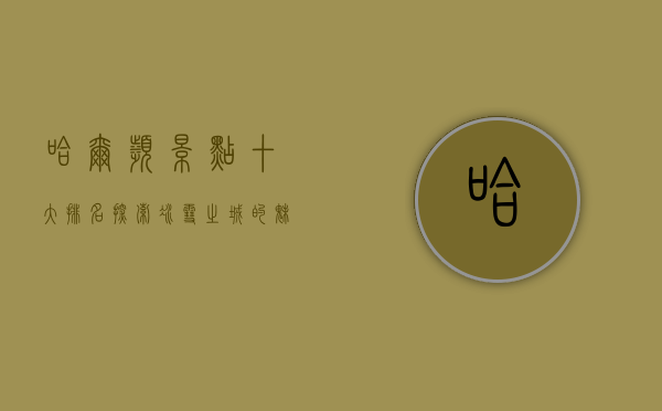 哈尔滨景点十大排名，探索冰雪之城的魅力与历史