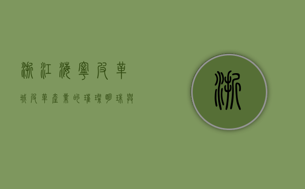 浙江海宁皮革城，皮革产业的璀璨明珠与时尚之都的崛起