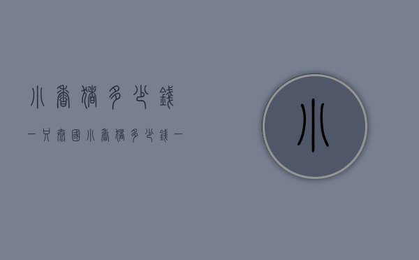 小香猪多少钱一只（泰国小香猪多少钱一只）