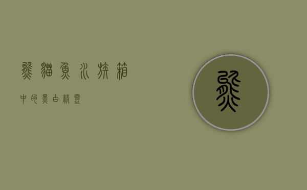 熊猫鱼，水族箱中的黑白精灵