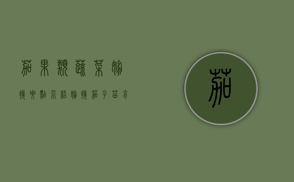 茄果类蔬菜嫁接要点介绍（嫁接茄子苗育苗厂）