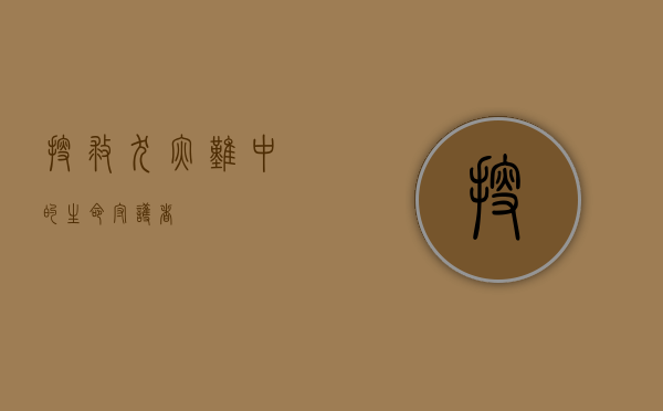 搜救犬，灾难中的生命守护者