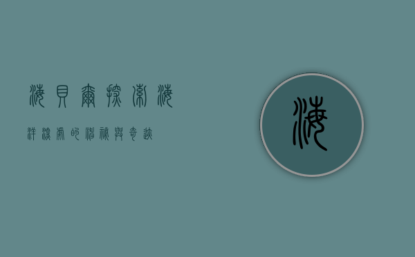 海贝尔，探索海洋深处的神秘与奇迹