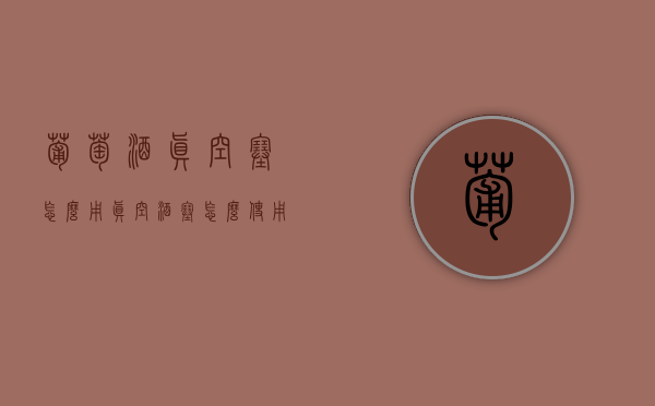 葡萄酒真空塞怎么用（真空酒塞怎么使用）