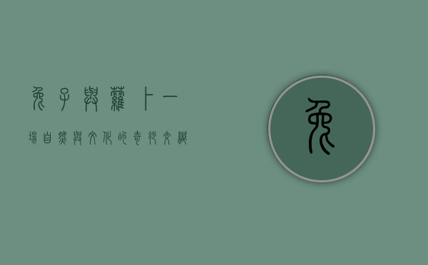 兔子与萝卜，一场自然与文化的奇妙交织