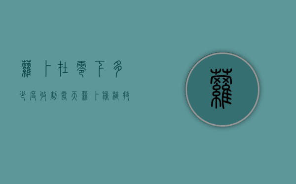 萝卜在零下多少度收割（露天萝卜种植技术）（萝卜零下2度能冻坏吗?）