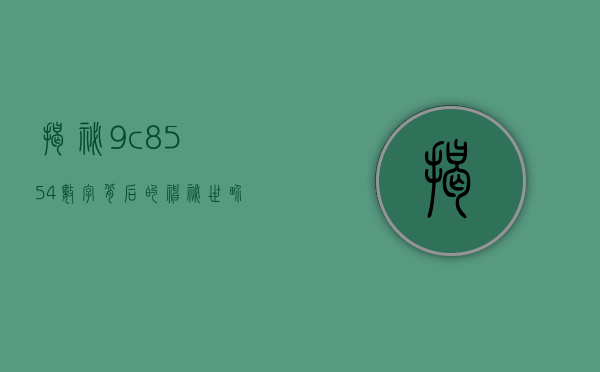 揭秘9c8554，数字背后的神秘世界