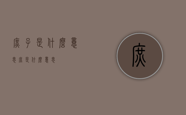 庶子是什么意思（庶是什么意思）