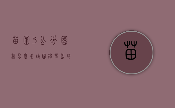 苗圃3公分国槐怎么养护（国槐苗基地）