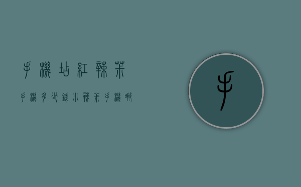 手机店红辣椒手机多少钱（小辣椒手机哪里卖）