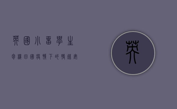 英国小留学生包机回国，疫情下的特殊安排与家庭期盼