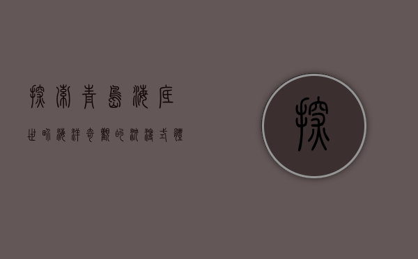 探索青岛海底世界，海洋奇观的沉浸式体验