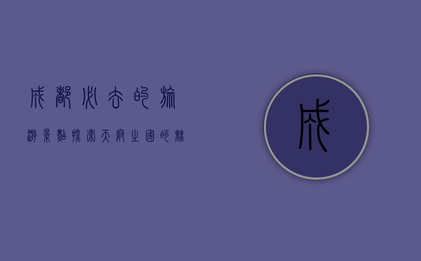 成都必去的旅游景点，探索天府之国的魅力