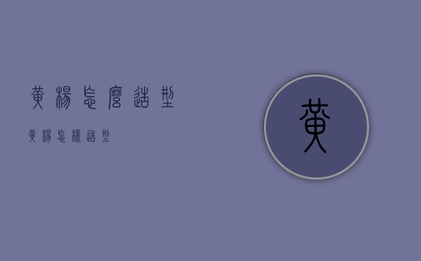 黄杨怎么造型（黄杨怎样造型）