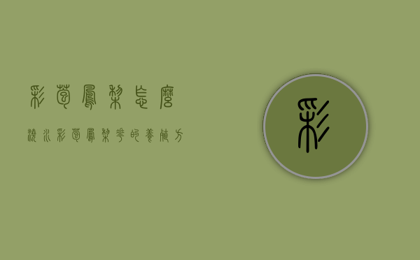 彩苞凤梨怎么浇水（彩苞凤梨花的养殖方法）