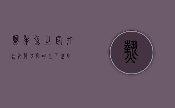 热带鱼之家，打造绚丽多彩的水下世界