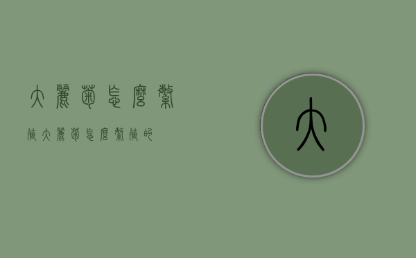 大丽菊怎么繁殖（大丽菊怎么繁殖的）