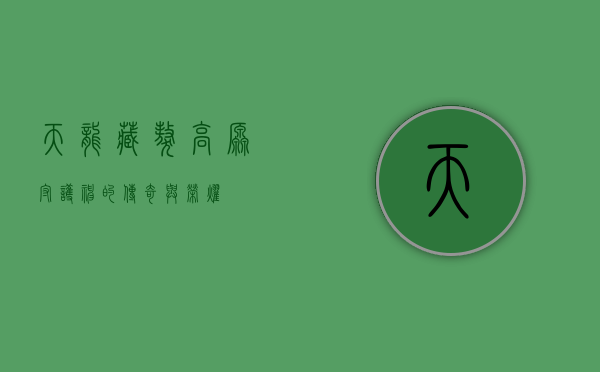 天龙藏獒,高原守护神的传奇与荣耀 天龙藏獒,高原守护神的传奇与荣耀