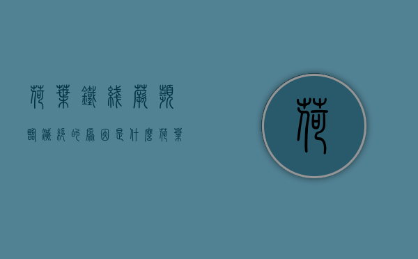荷叶铁线蕨濒临灭绝的原因是什么（荷叶蕨怎么养护）
