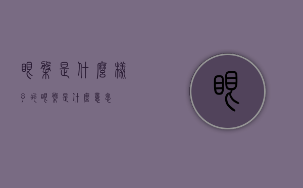 眼盘是什么样子的（眼盘是什么意思）