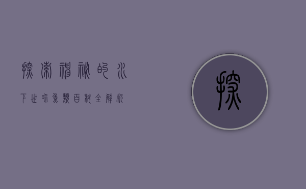 探索神秘的水下世界，鱼类百科全解析
