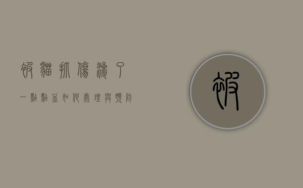 被猫抓伤渗了一点点血,如何处理与预防? 被猫抓伤渗了一点点血,如何处理与预防?