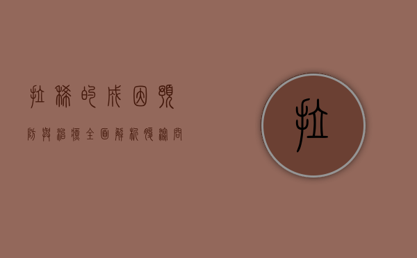 拉稀的成因、预防与治疗，全面解析腹泻问题
