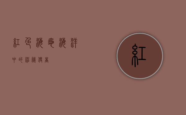红色海龟，海洋中的神秘使者