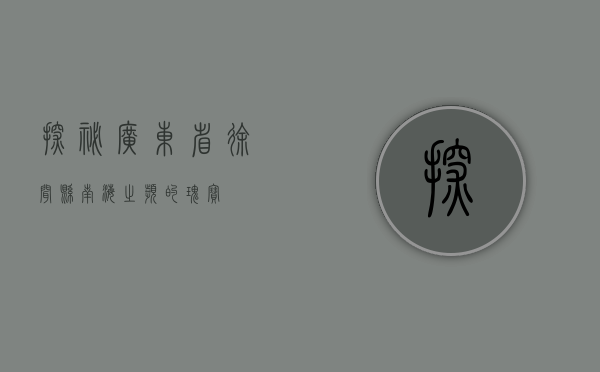 探秘广东省徐闻县，南海之滨的瑰宝