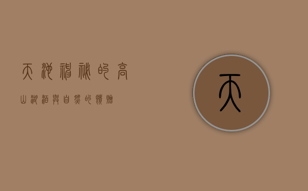 天池，神秘的高山湖泊与自然的馈赠