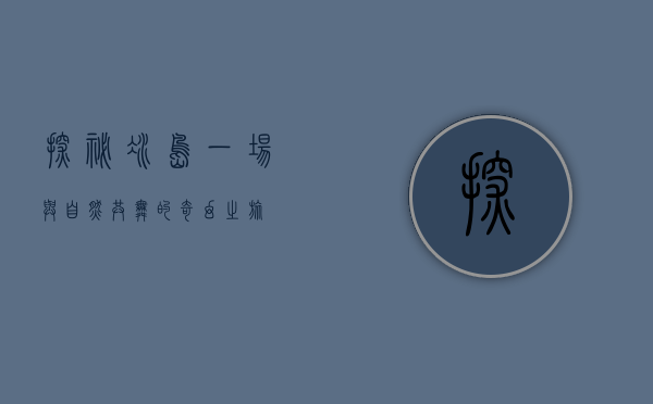 探秘冰岛，一场与自然共舞的奇幻之旅
