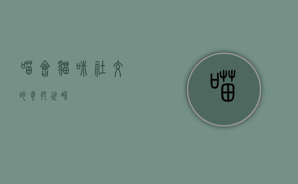 喵会，猫咪社交的奇妙世界