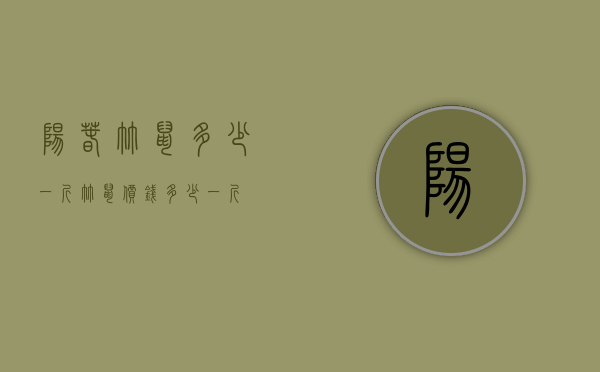 阳春竹鼠多少一斤（竹鼠价钱多少一斤）