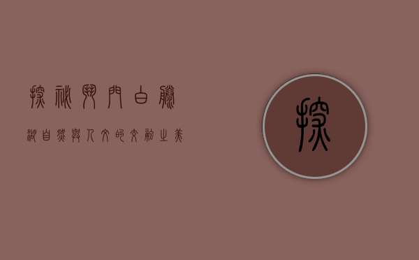 探秘斗门白藤湖，自然与人文的交融之美