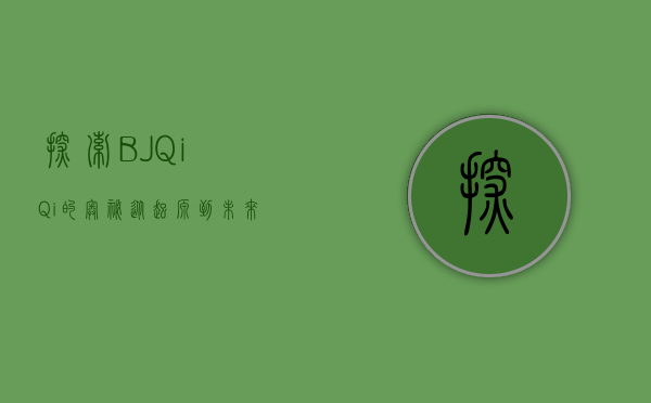 探索BJQiQi的奥秘，从起源到未来发展的全面解析