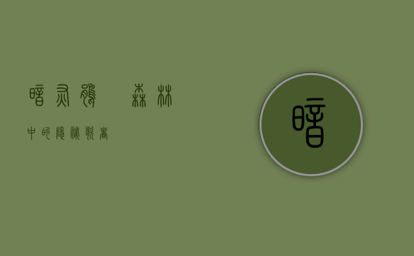 暗灰鹃鵙，森林中的隐秘歌者