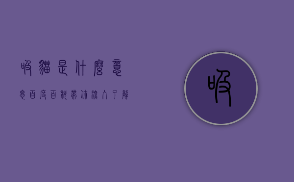吸猫是什么意思？百度百科带你深入了解吸猫文化