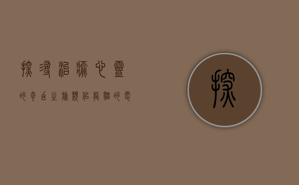 探寻治愈心灵的奇幻之旅—类似龙猫的电影推荐