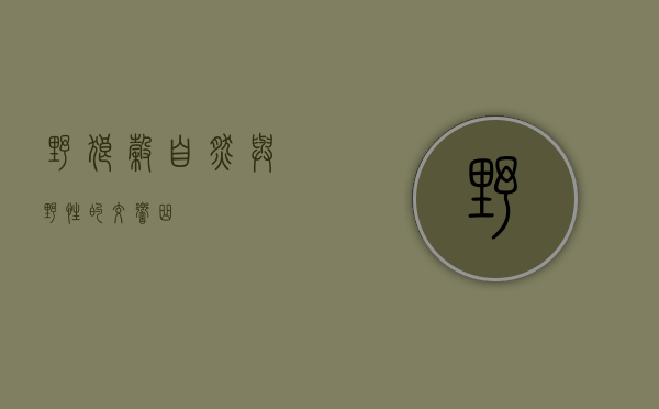 野狼谷，自然与野性的交响曲