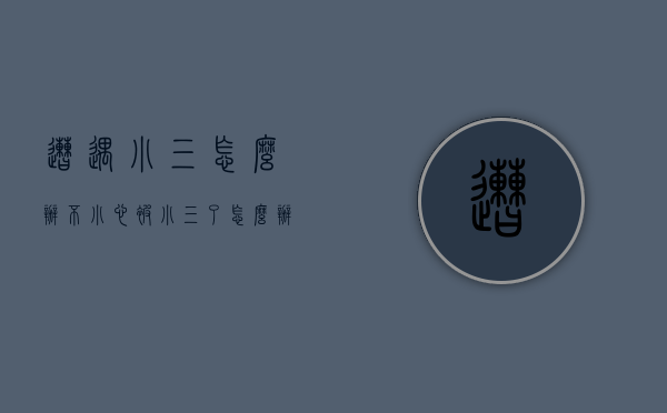 遭遇小三怎么办（不小心被小三了怎么办）