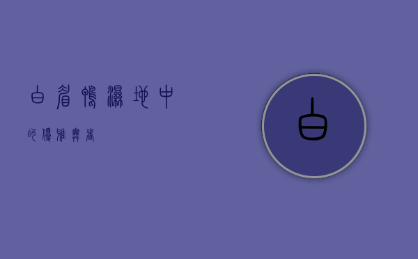 白眉鸭，湿地中的优雅舞者