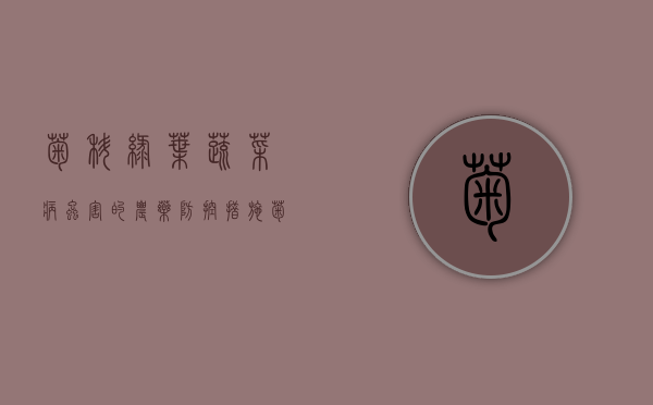 菊科绿叶蔬菜病虫害的农药防控措施（菊科植物用什么农药除草）