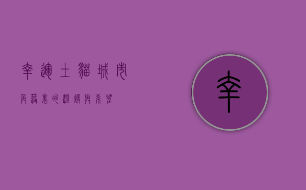 幸运土猫，城市角落里的温暖与希望