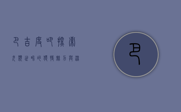 巴吉度吧，探索犬类世界的独特魅力与深厚情感