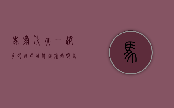 马尔代夫一趟多少钱？详细解析旅行预算与省钱技巧
