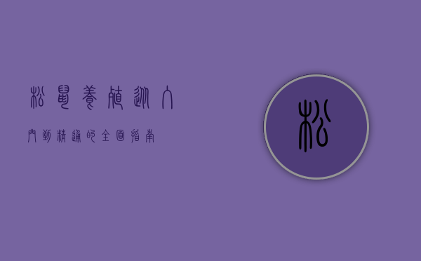 松鼠养殖，从入门到精通的全面指南