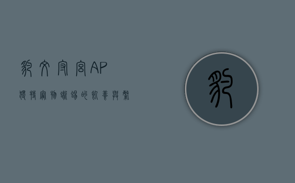 豹纹守宫AP，独特宠物蜥蜴的饲养与繁殖指南