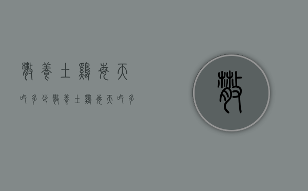 散养土鸡每天吃多少（散养土鸡每天吃多少克饲料）